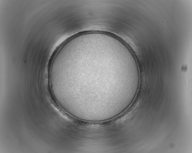 X0000090780982200708172124