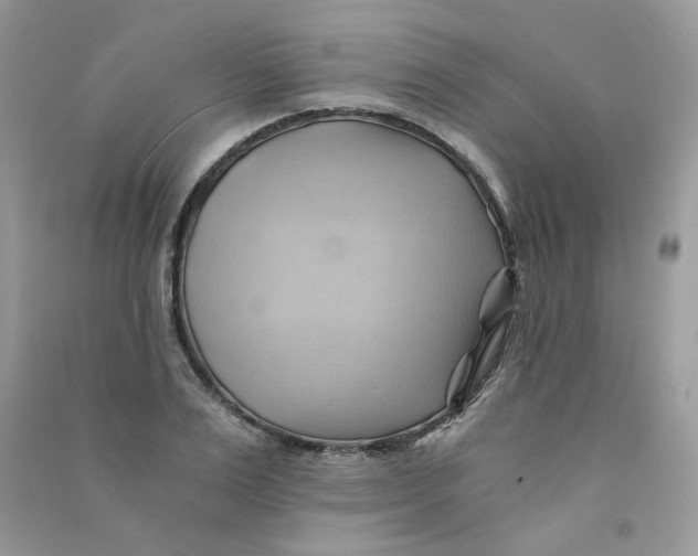 X0000090780983200708172124