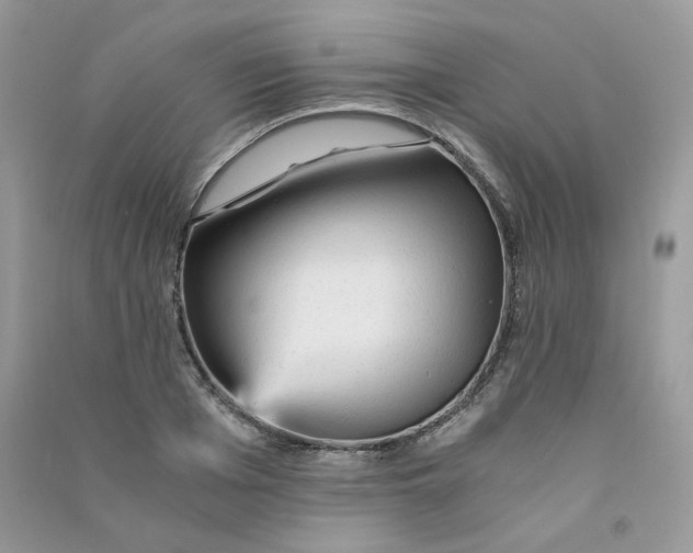 X0000090780985200708172124