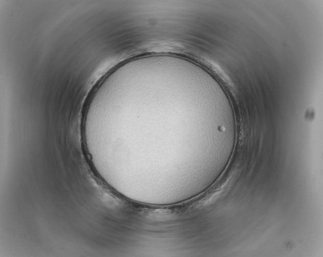 X0000090780986200708172124