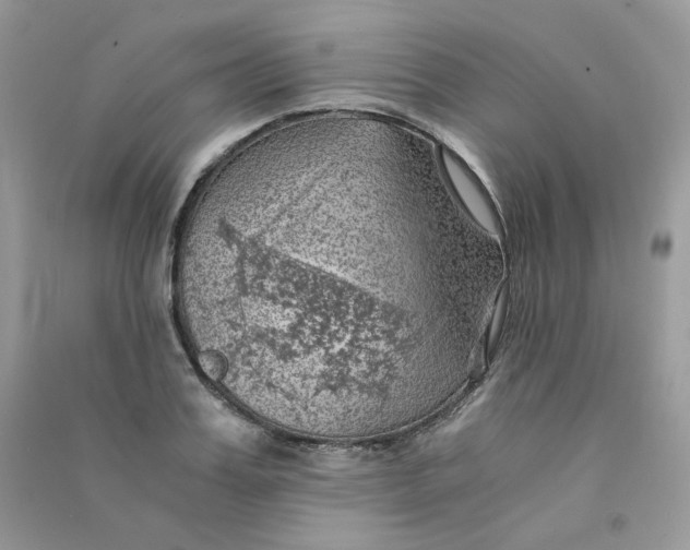 X0000090780987200708172124