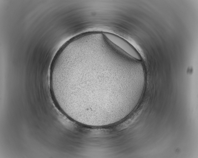 X0000090780988200708172124
