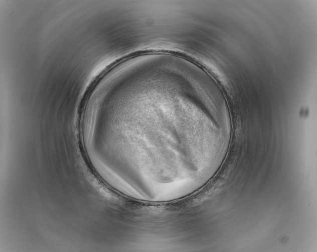 X0000090780990200708172124