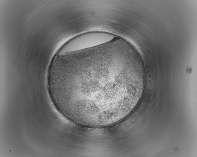 X0000090780991200708172124
