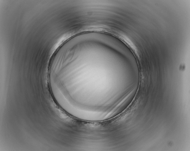 X0000090780994200708172124