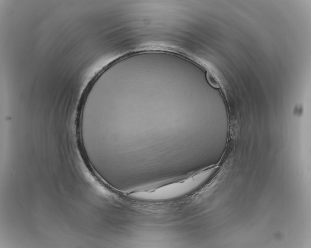 X0000090780995200708172124