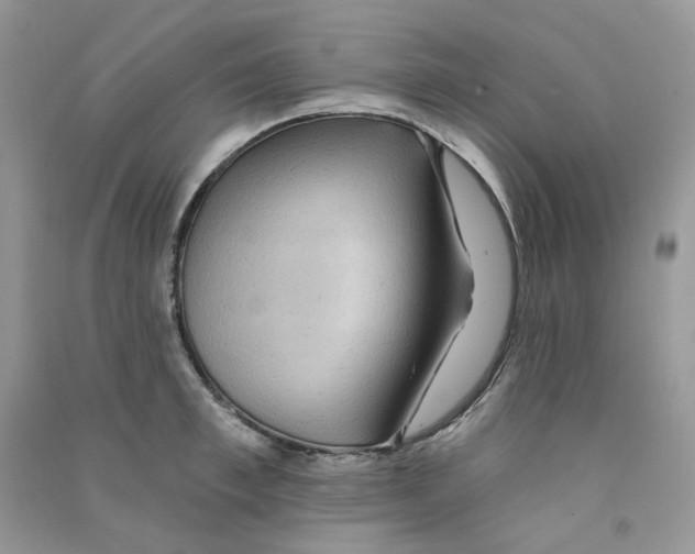 X0000090780997200708172124