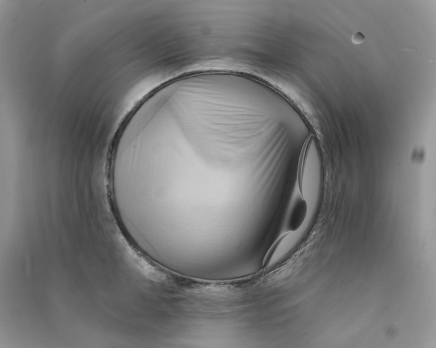 X0000090780998200708172124