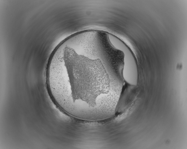 X0000090780999200708172124