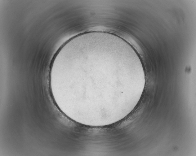 X0000090781000200708172124