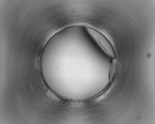 X0000090781001200708172124