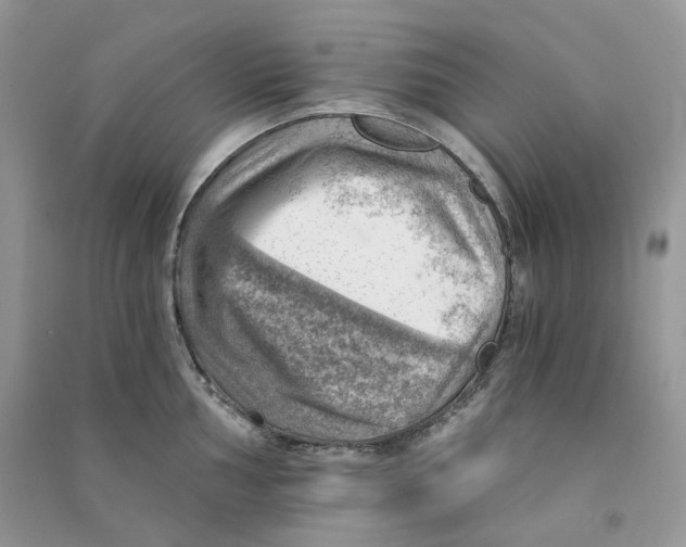 X0000090781002200708172124