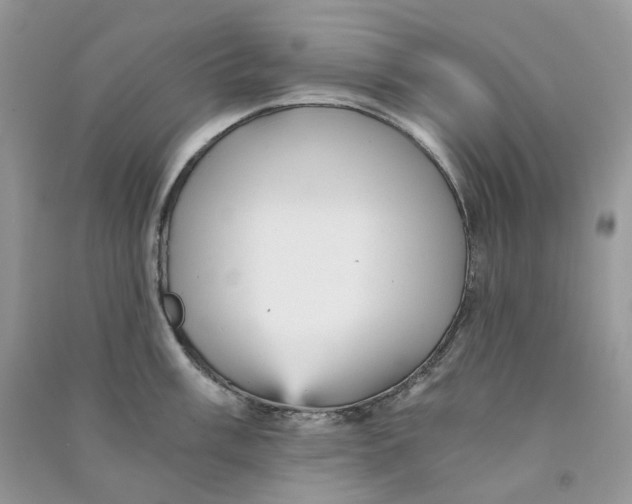 X0000090781003200708172124