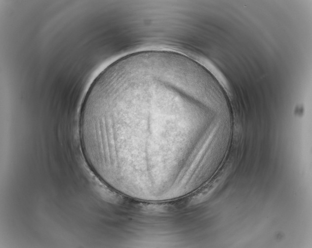 X0000090781004200708172124
