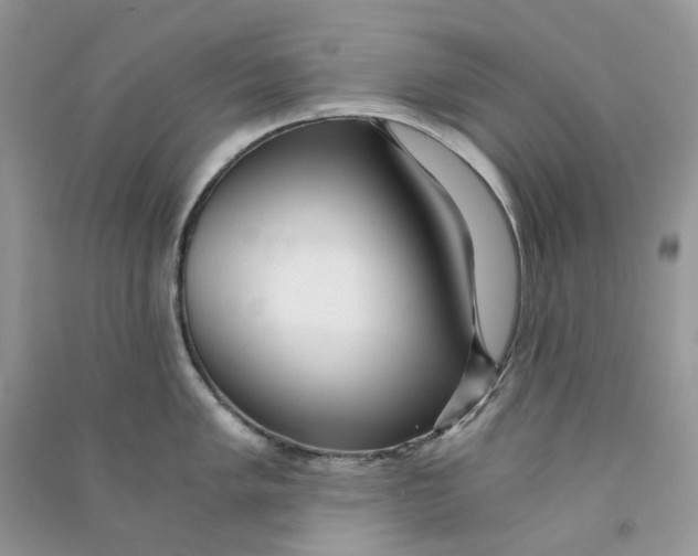 X0000090781005200708172124
