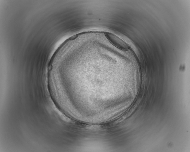 X0000090781006200708172124