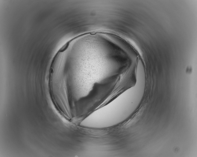 X0000090781007200708172124