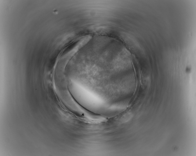 X0000090781010200708172123