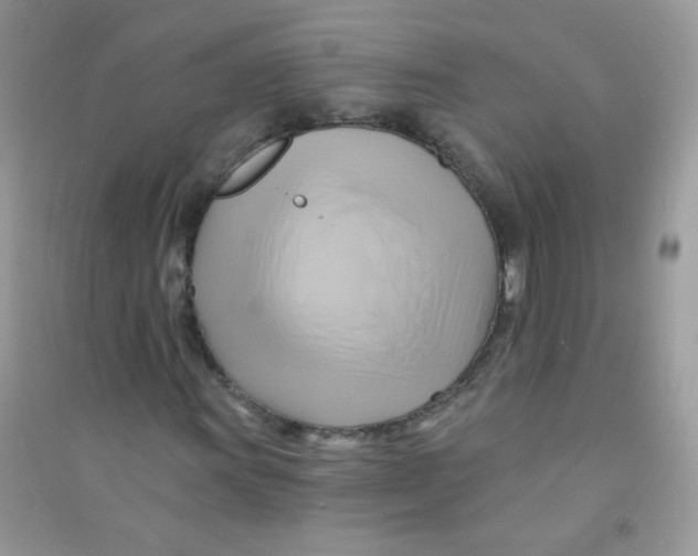 X0000090781011200708172123