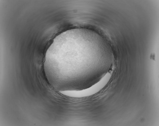X0000090781012200708172123