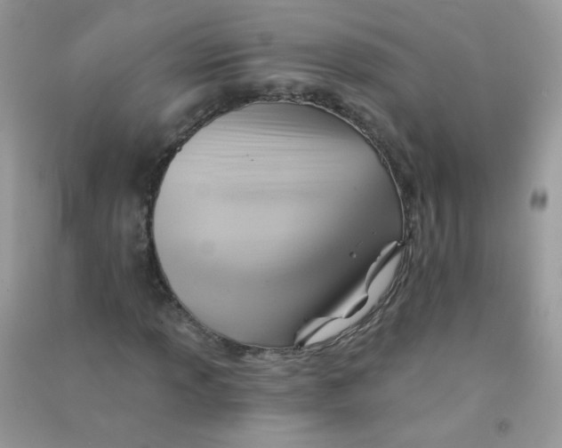 X0000090781013200708172123
