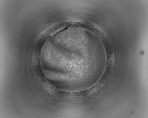 X0000090781014200708172123