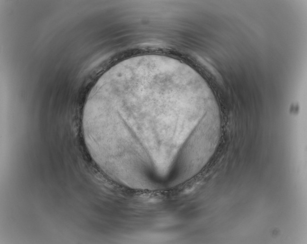 X0000090781015200708172123