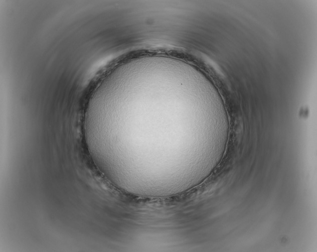 X0000090781016200708172123