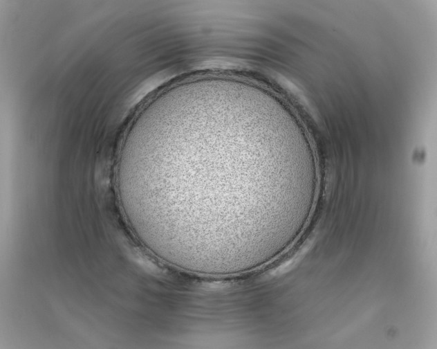 X0000090781017200708172123