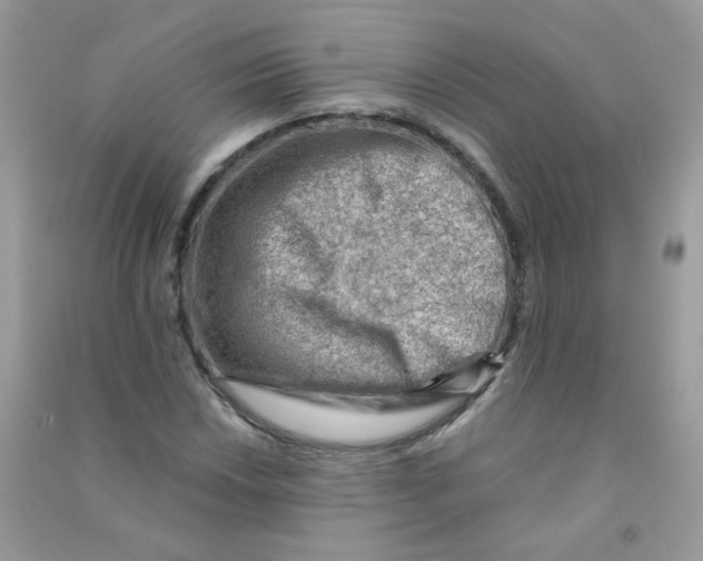 X0000090781018200708172123