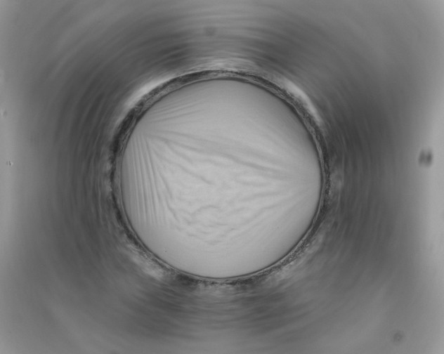 X0000090781019200708172123