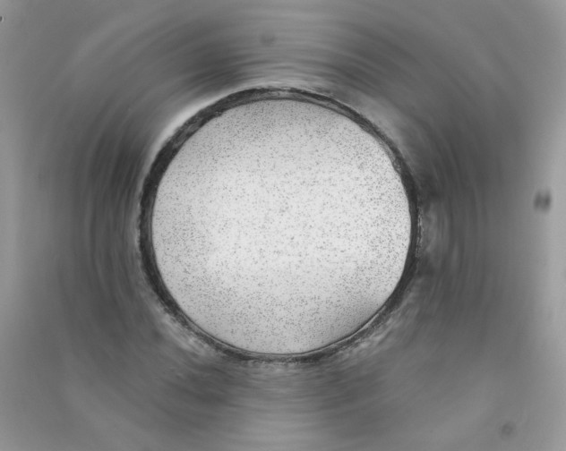 X0000090781020200708172123