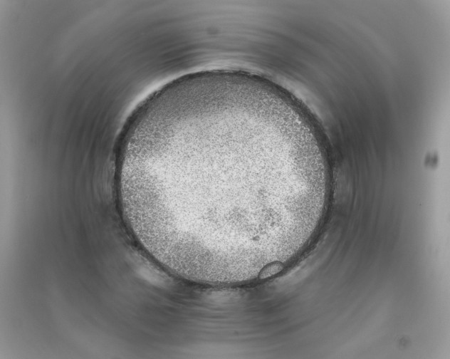 X0000090781021200708172124
