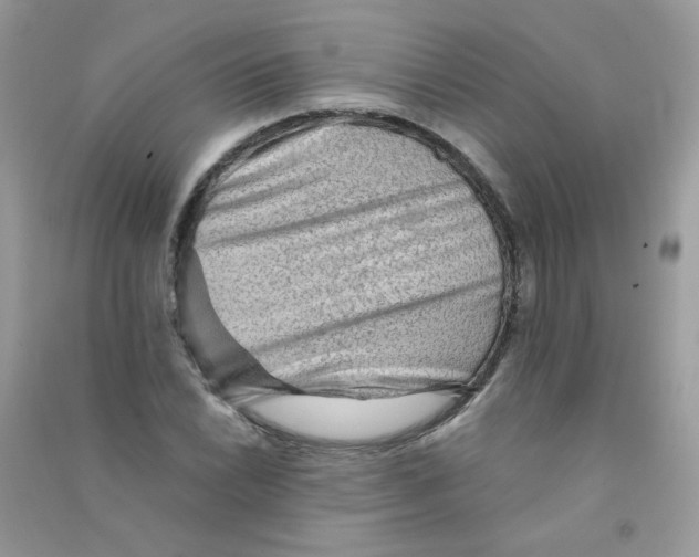X0000090781022200708172124