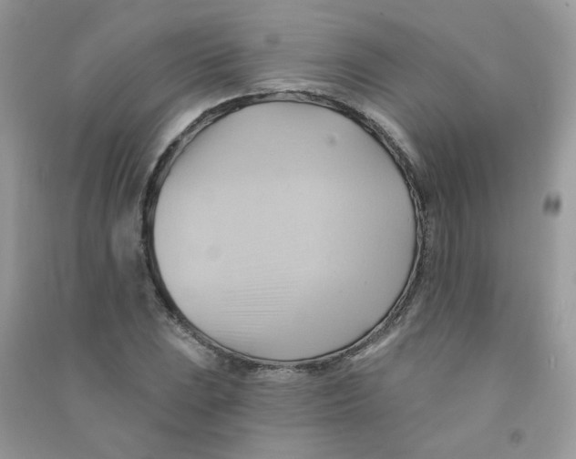 X0000090781023200708172124