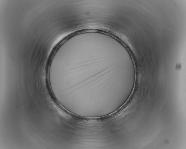 X0000090781024200708172124
