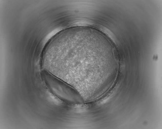 X0000090781026200708172124