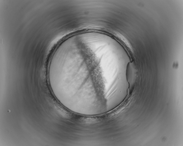 X0000090781027200708172124