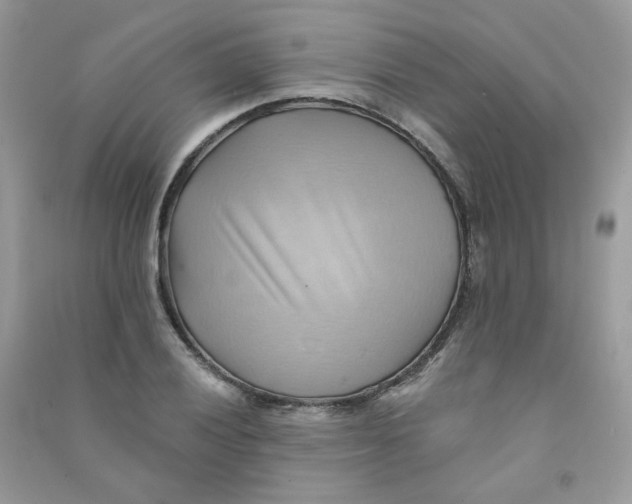 X0000090781028200708172124