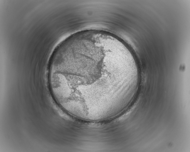 X0000090781029200708172124