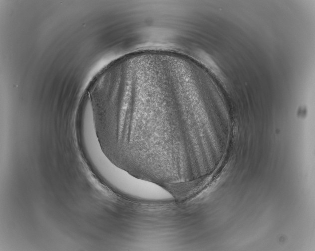X0000090781030200708172124