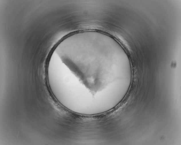 X0000090781031200708172124