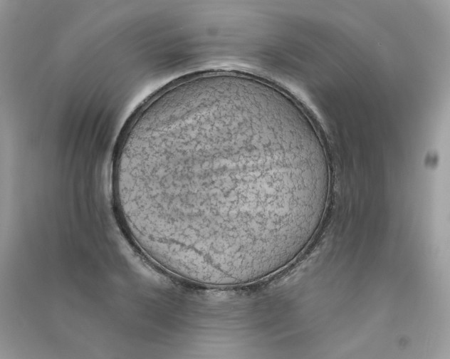 X0000090781032200708172124