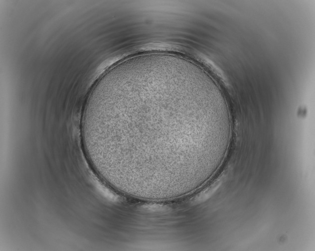 X0000090781033200708172124