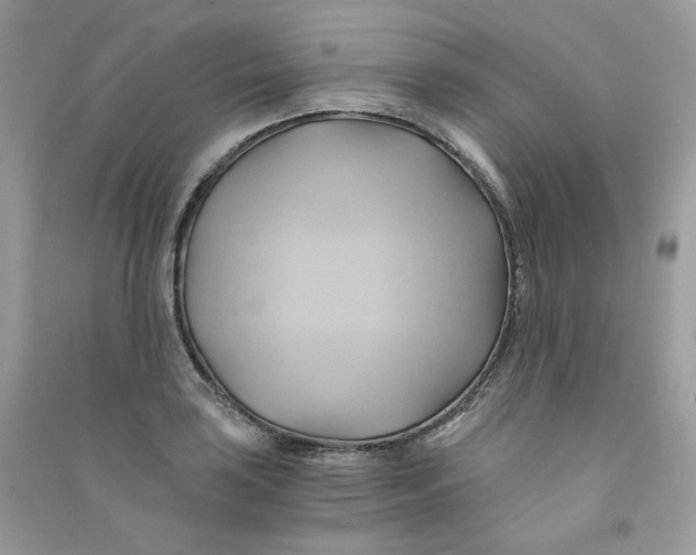 X0000090781035200708172124