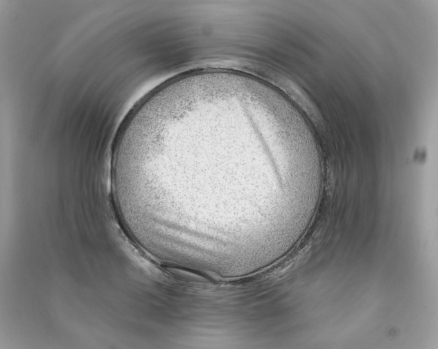 X0000090781036200708172124