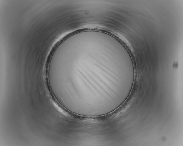 X0000090781037200708172124