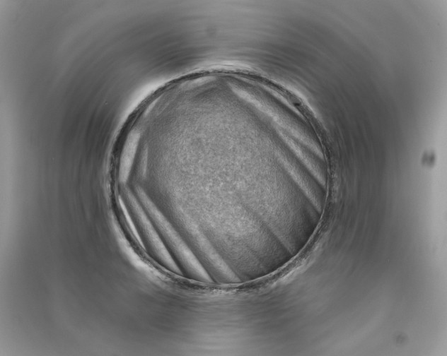 X0000090781038200708172124