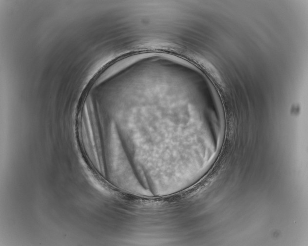 X0000090781039200708172124