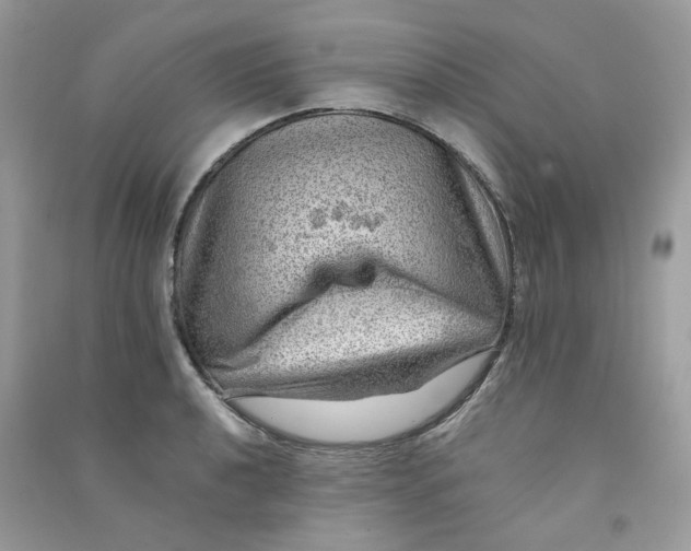 X0000090781040200708172124